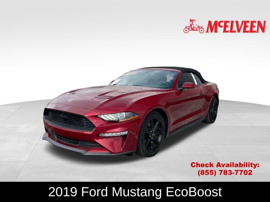 2019 FORD Mustang