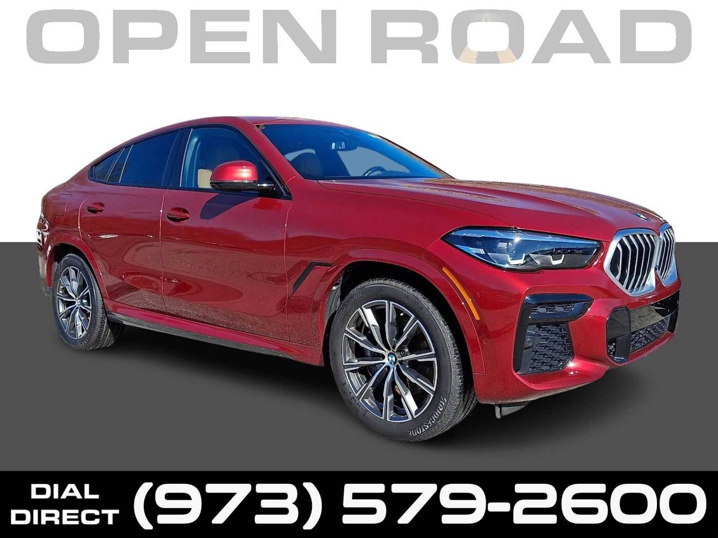 2023 BMW X6