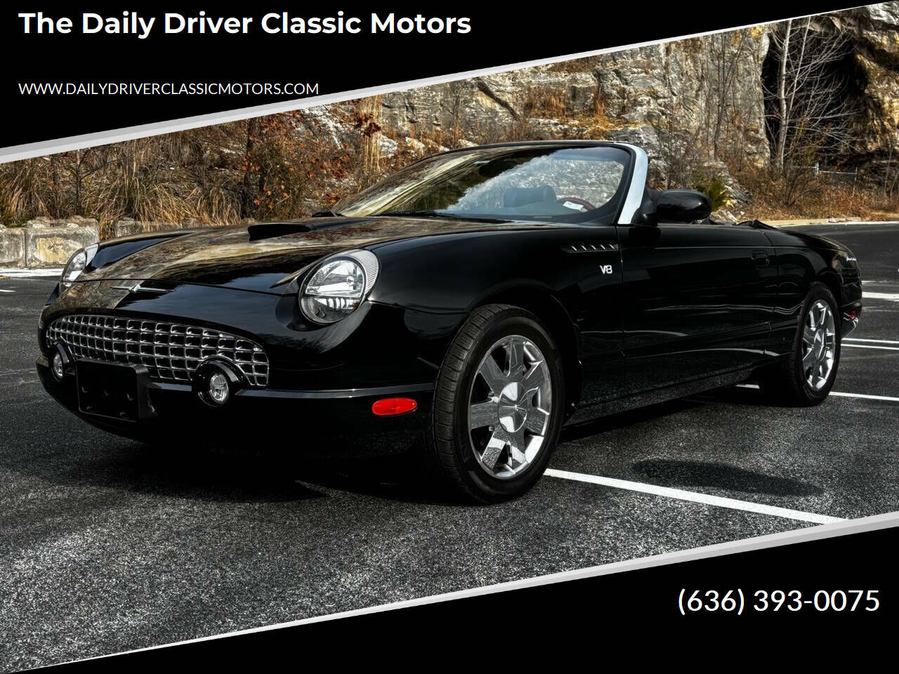 2002 FORD Thunderbird