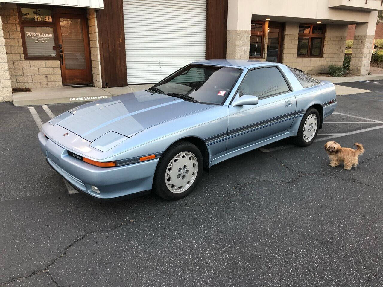 1989 TOYOTA Supra