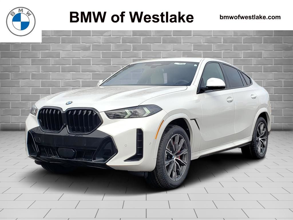 2026 BMW X6