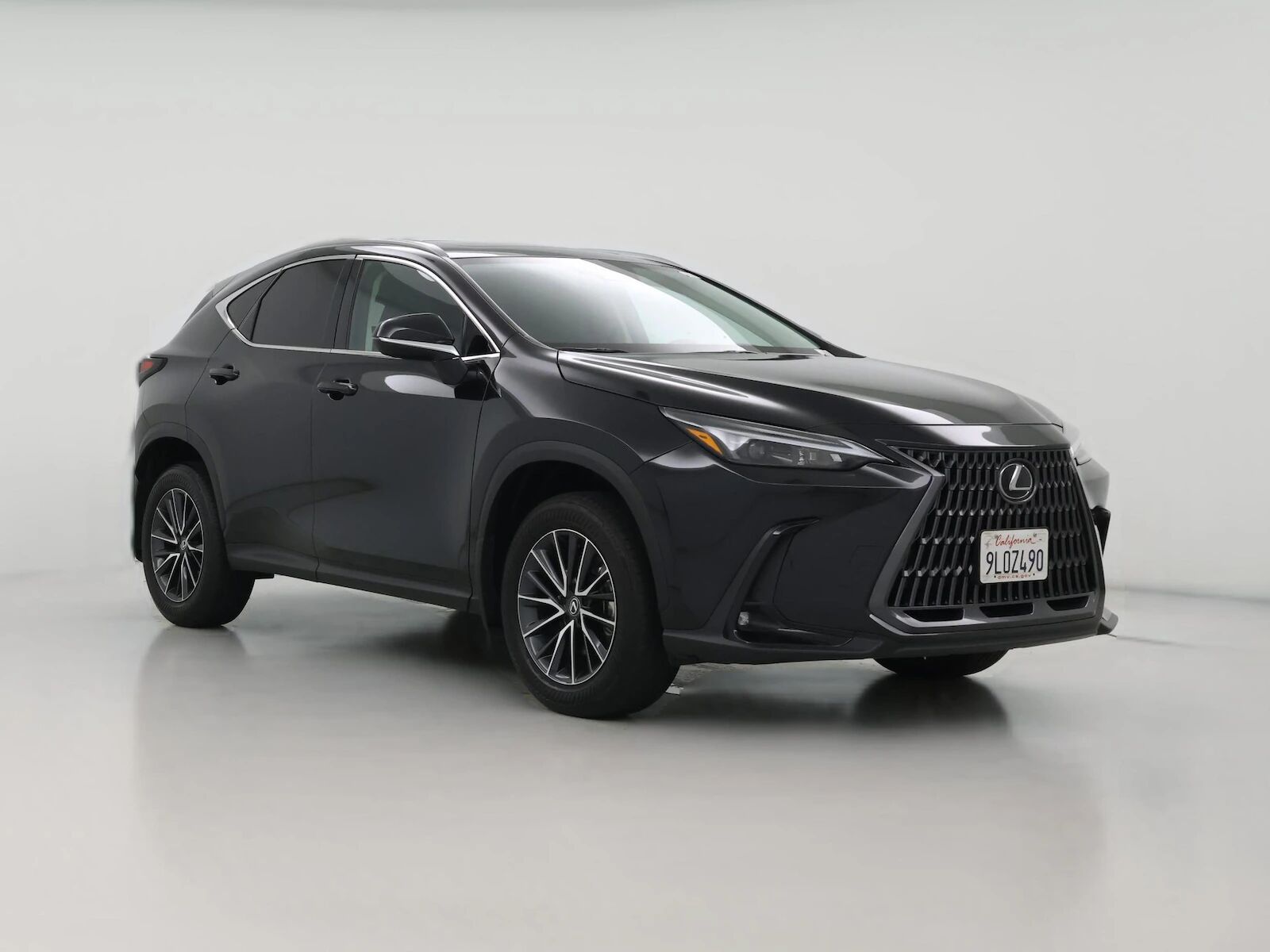 2024 LEXUS NX