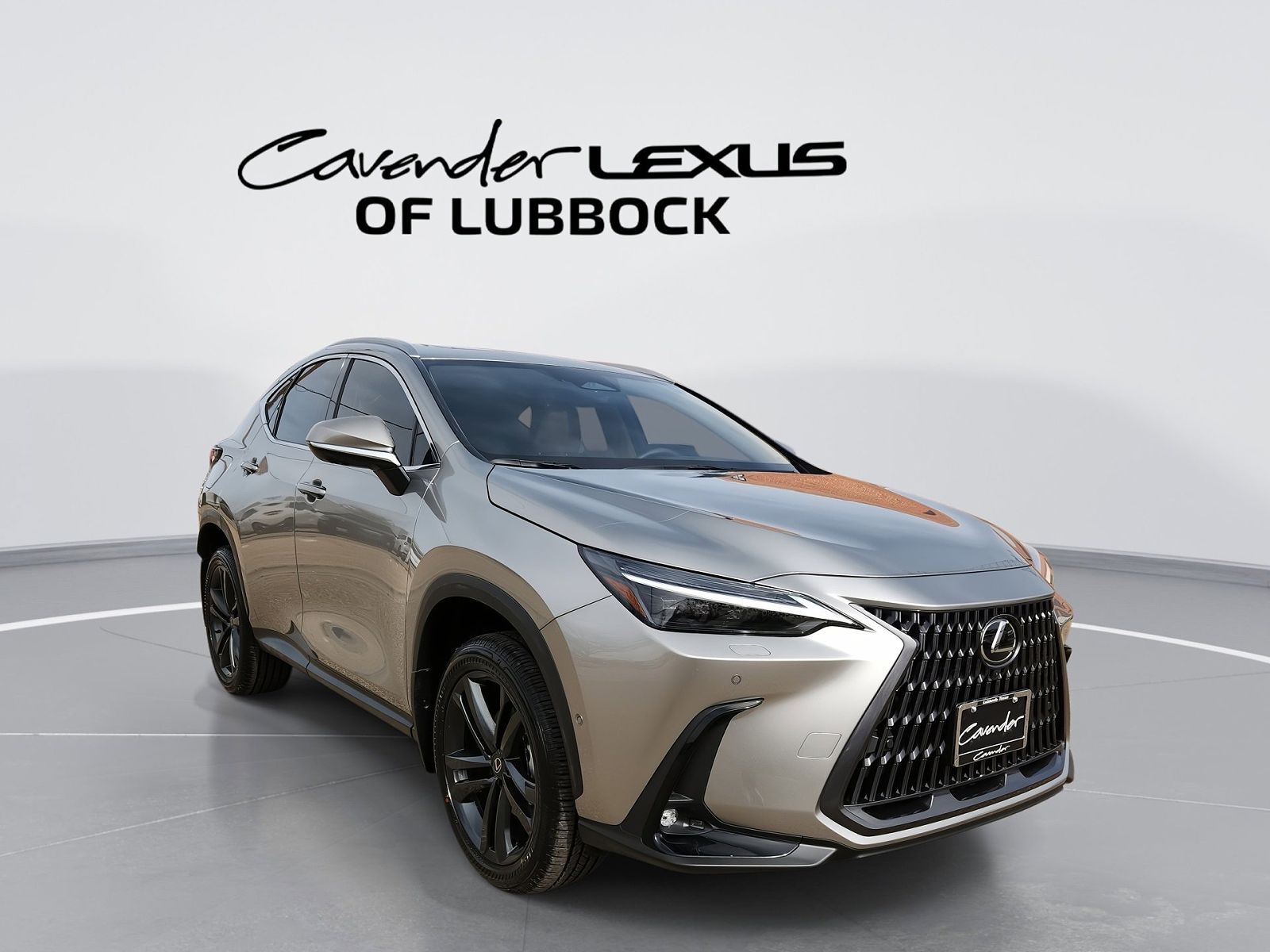 2026 LEXUS NX