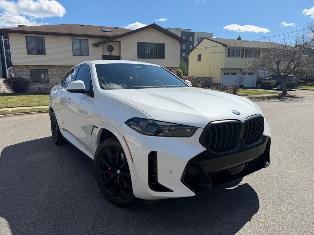 2024 BMW X6