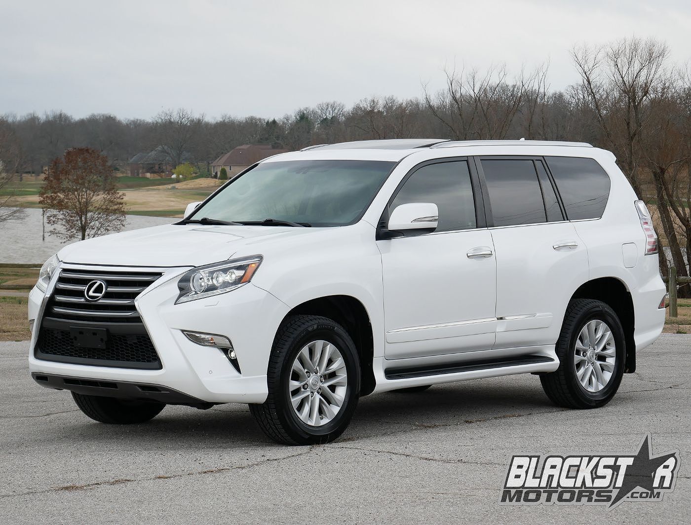 2014 LEXUS GX
