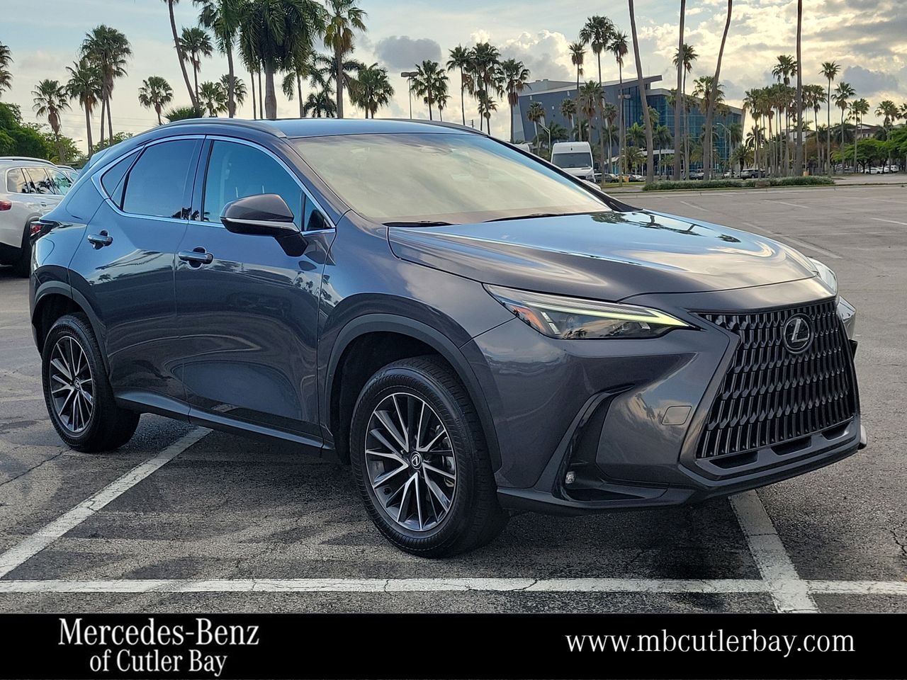 2024 LEXUS NX
