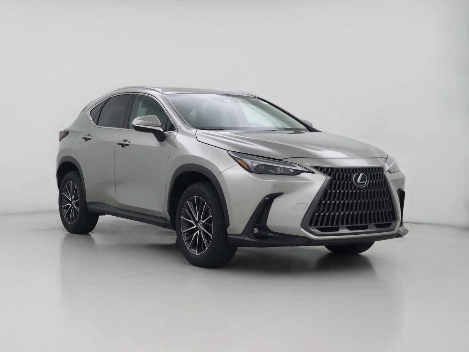 2024 LEXUS NX