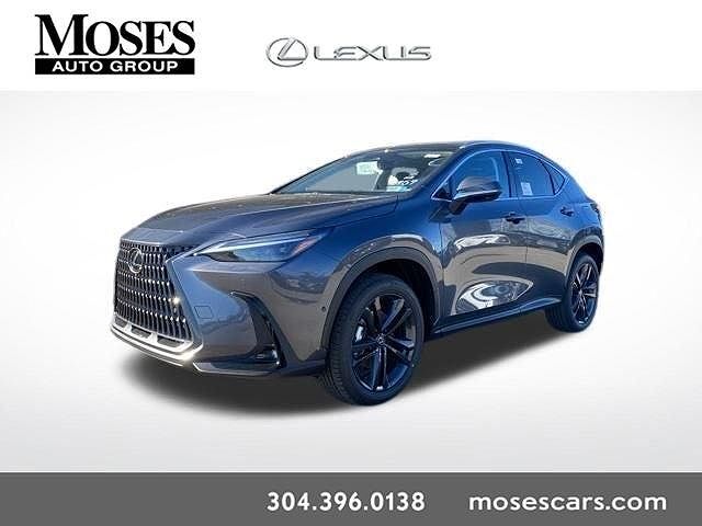 2026 LEXUS NX