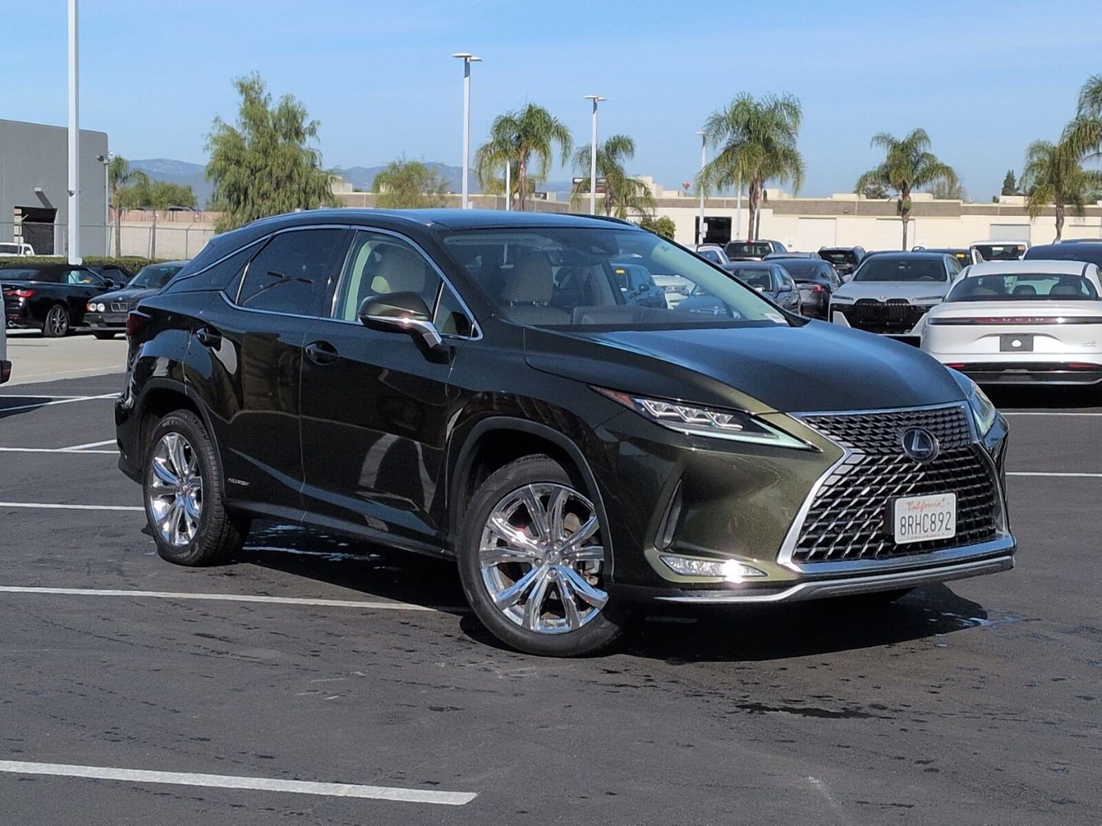 2020 LEXUS RX