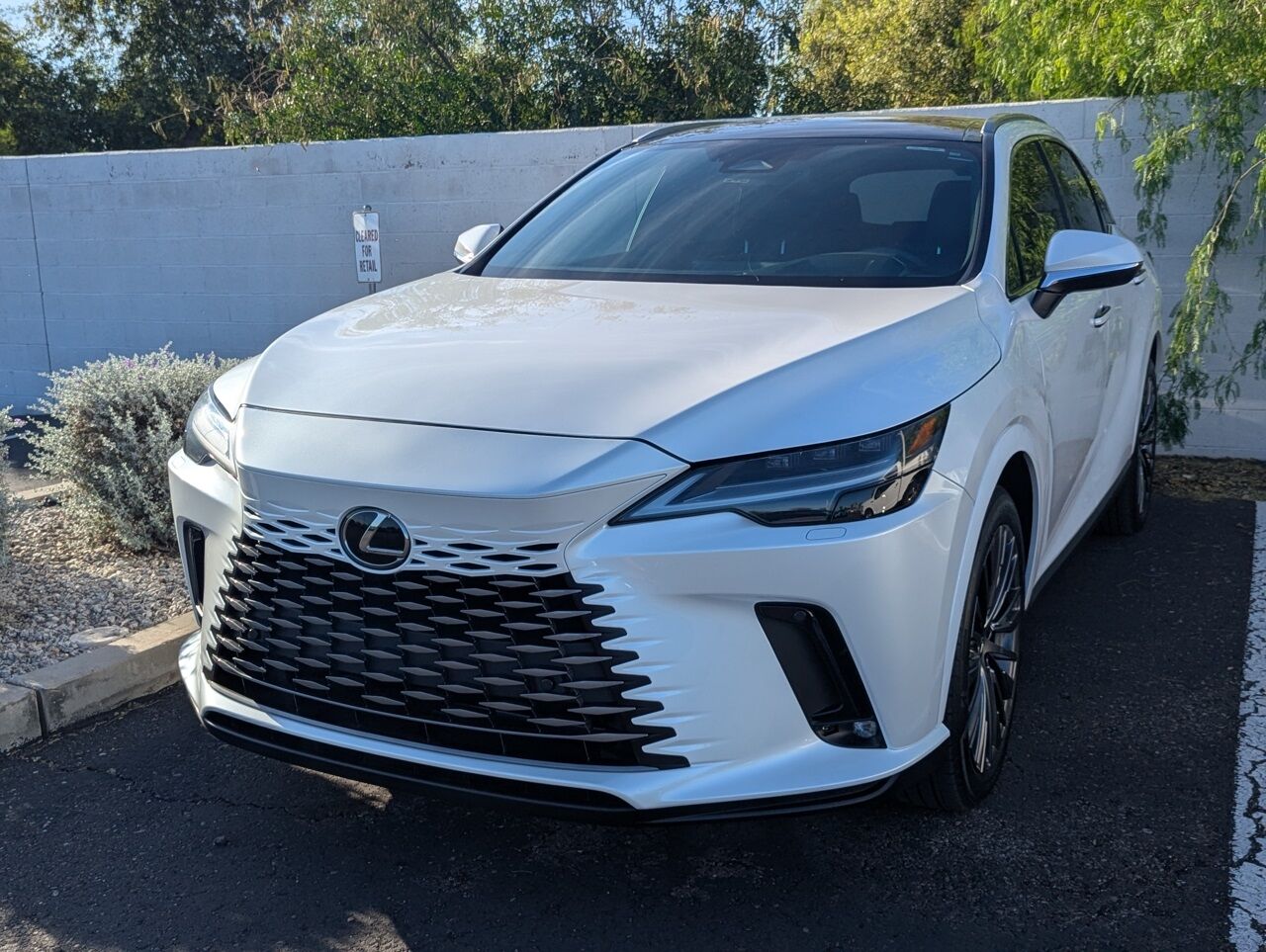 2023 LEXUS RX