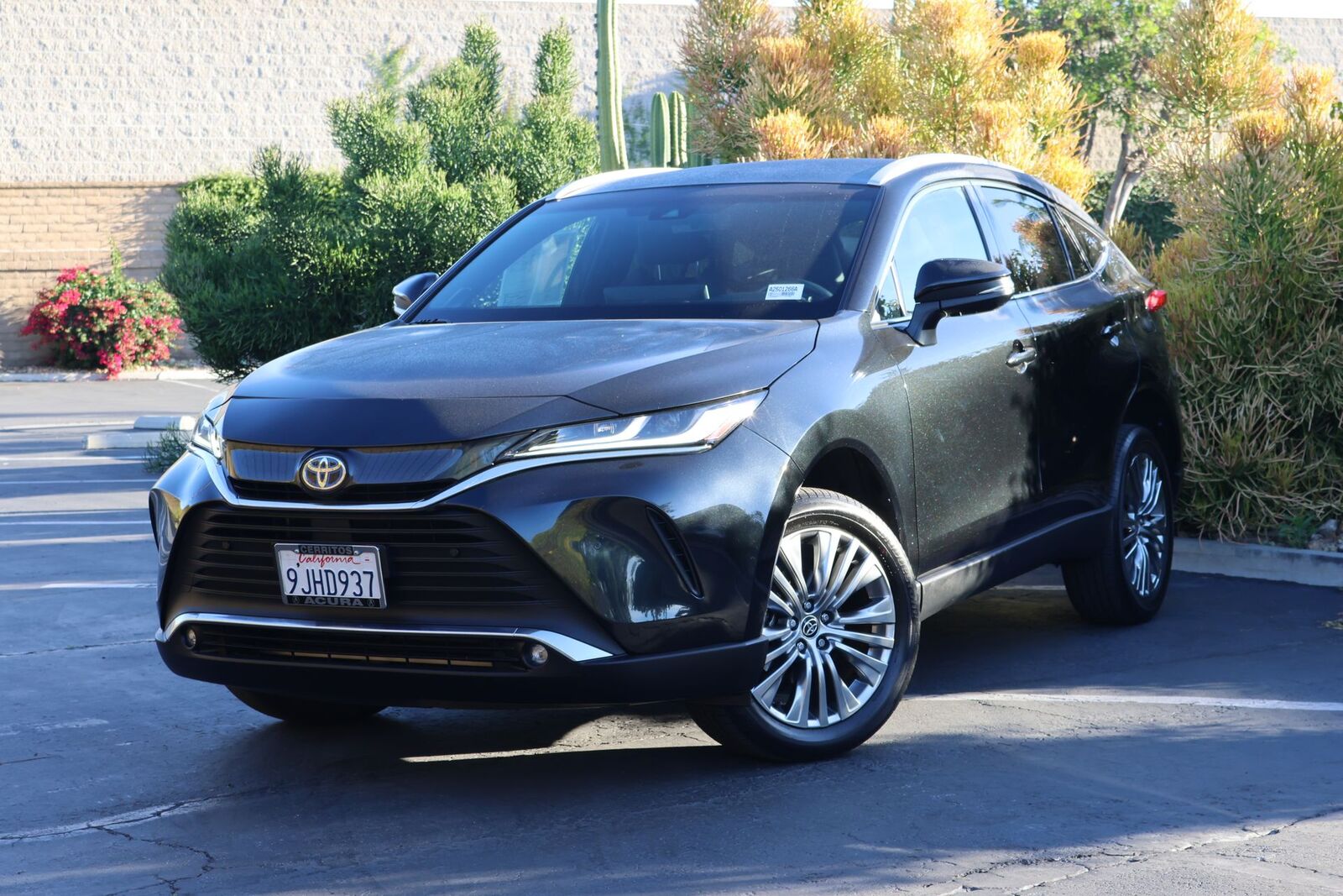 2023 TOYOTA Venza