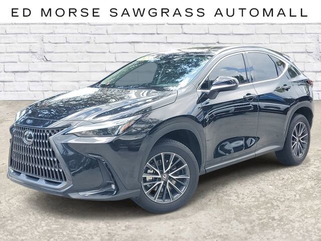 2025 LEXUS NX
