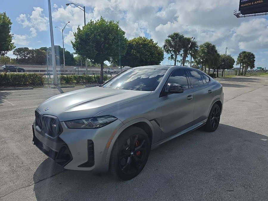 2024 BMW X6