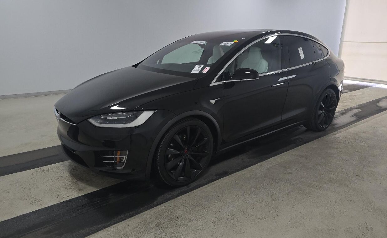 2019 TESLA Model X