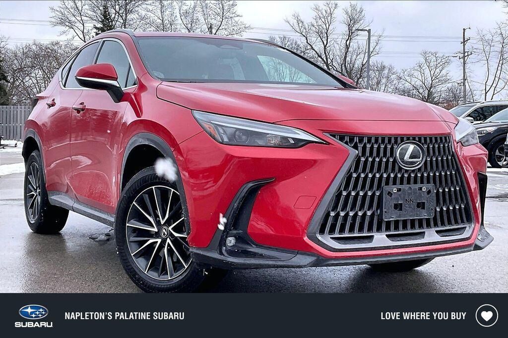 2024 LEXUS NX