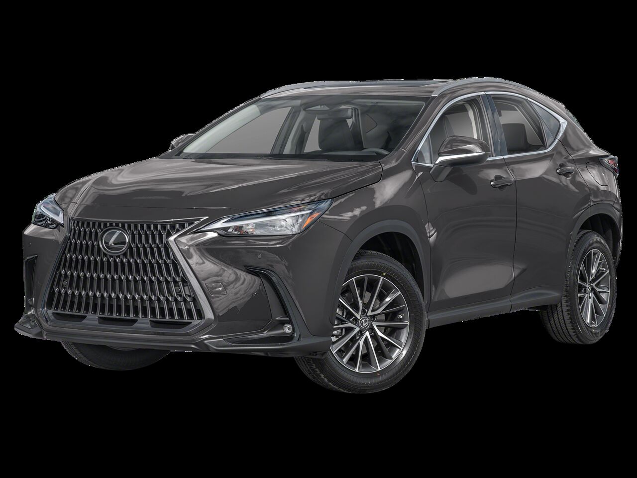 2025 LEXUS NX