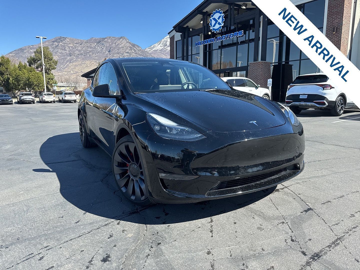 2024 TESLA Model Y