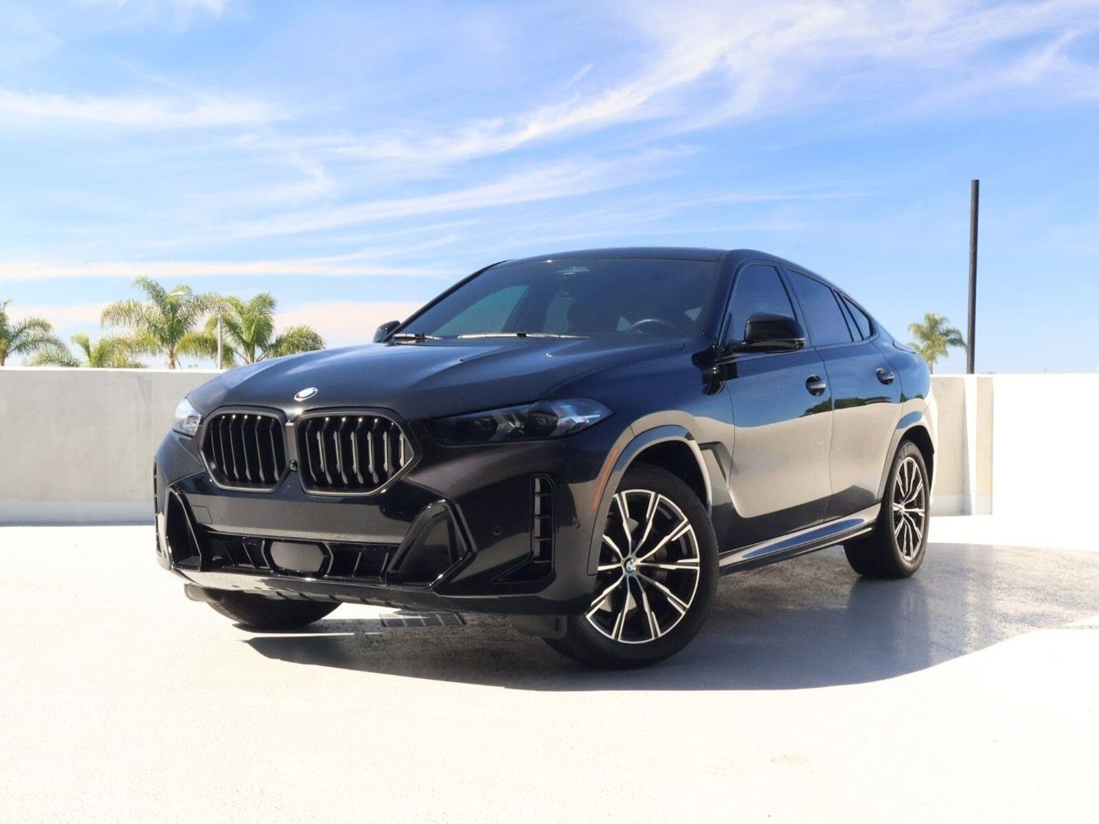 2024 BMW X6