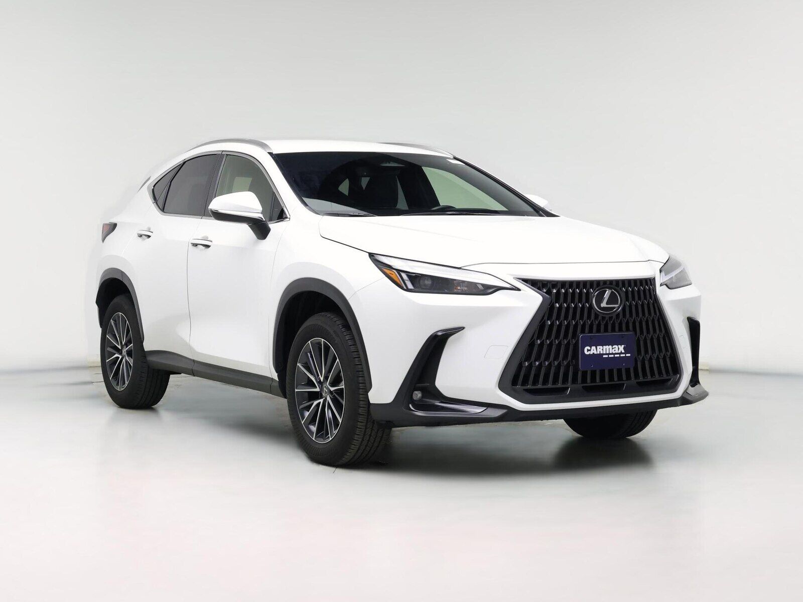 2024 LEXUS NX