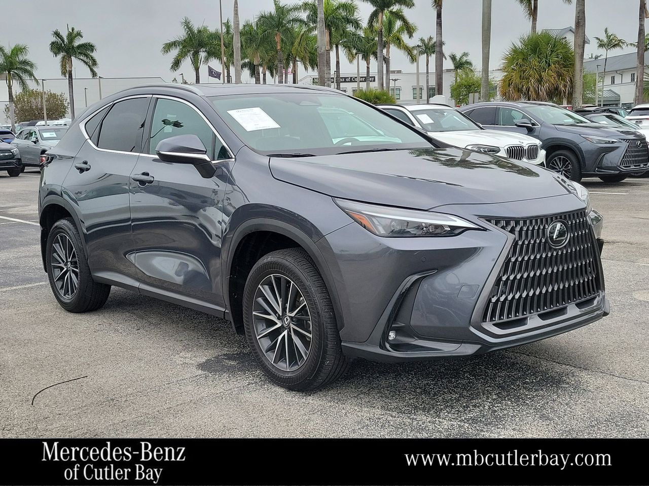 2024 LEXUS NX