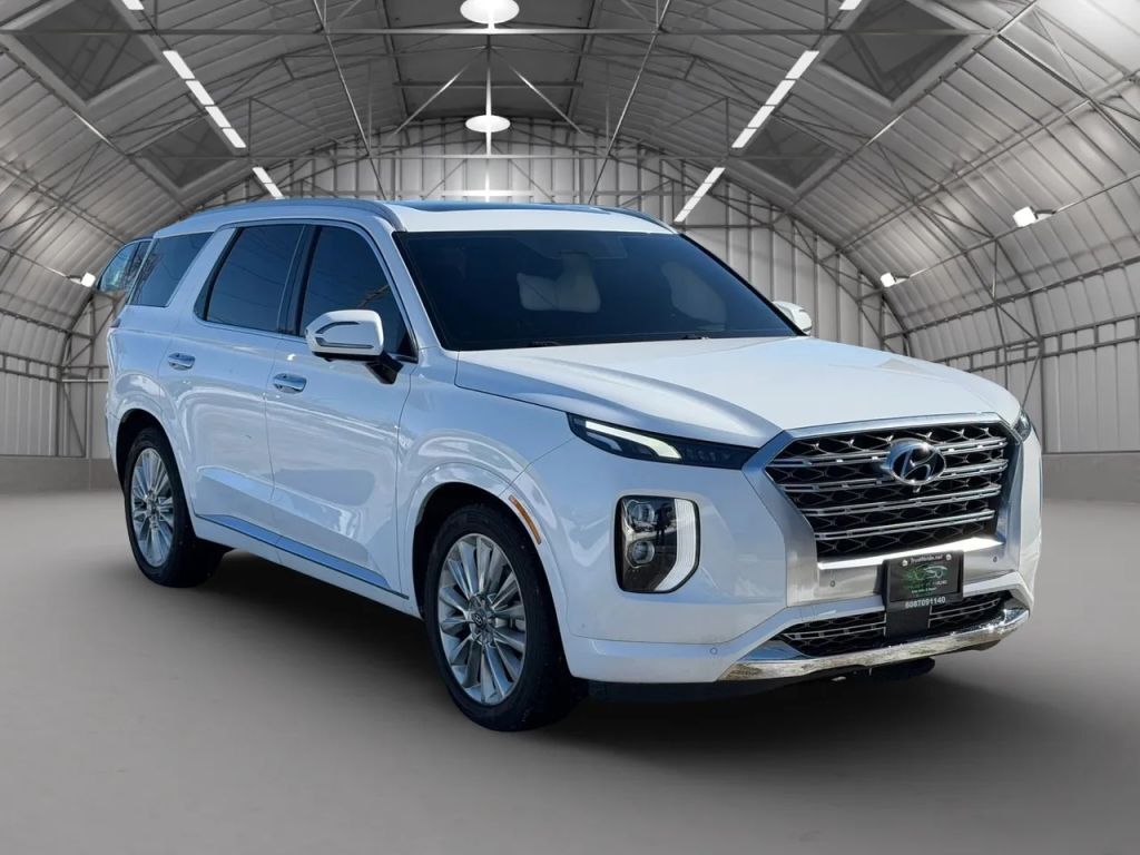 2020 HYUNDAI Palisade