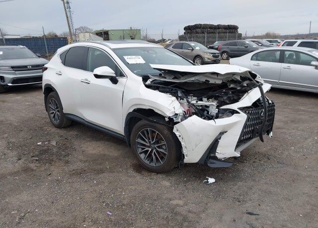 2024 LEXUS NX