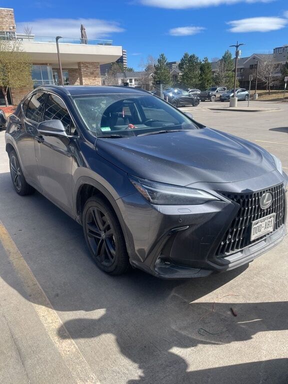 2024 LEXUS NX