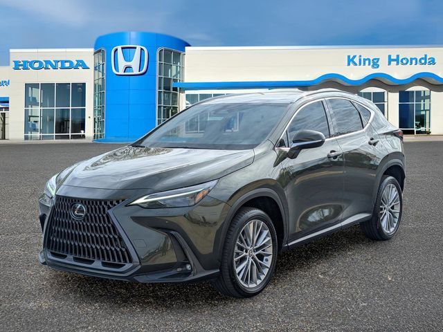 2023 LEXUS NX