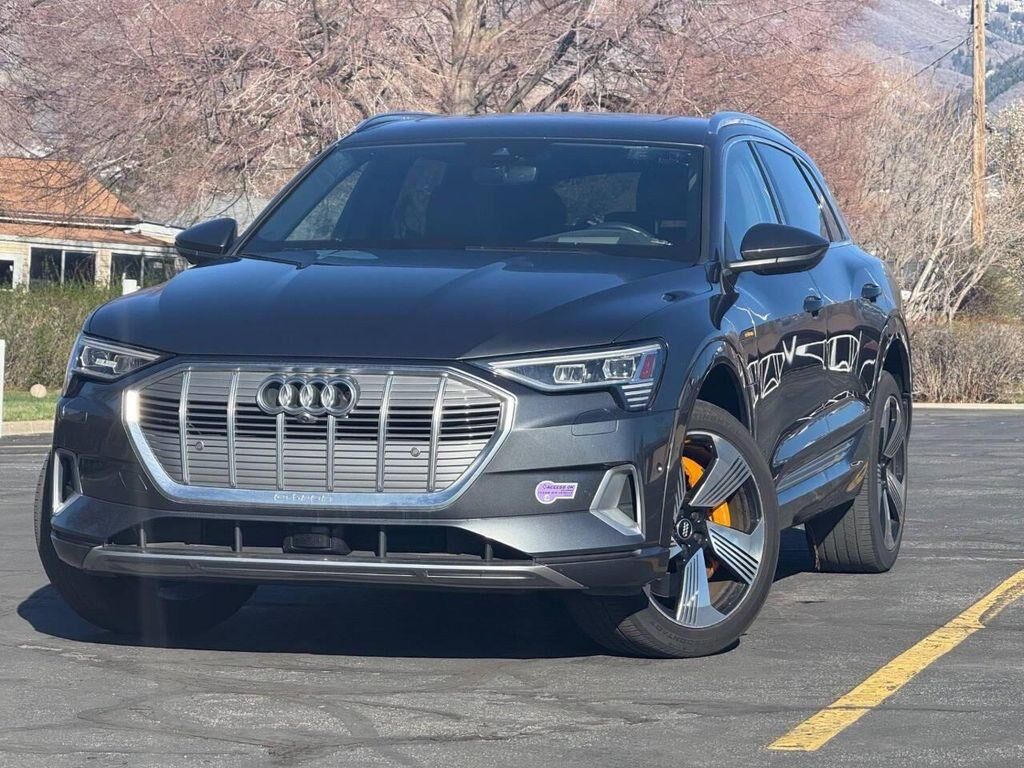 2019 AUDI e-tron