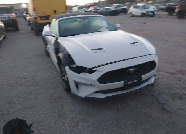 2019 FORD Mustang