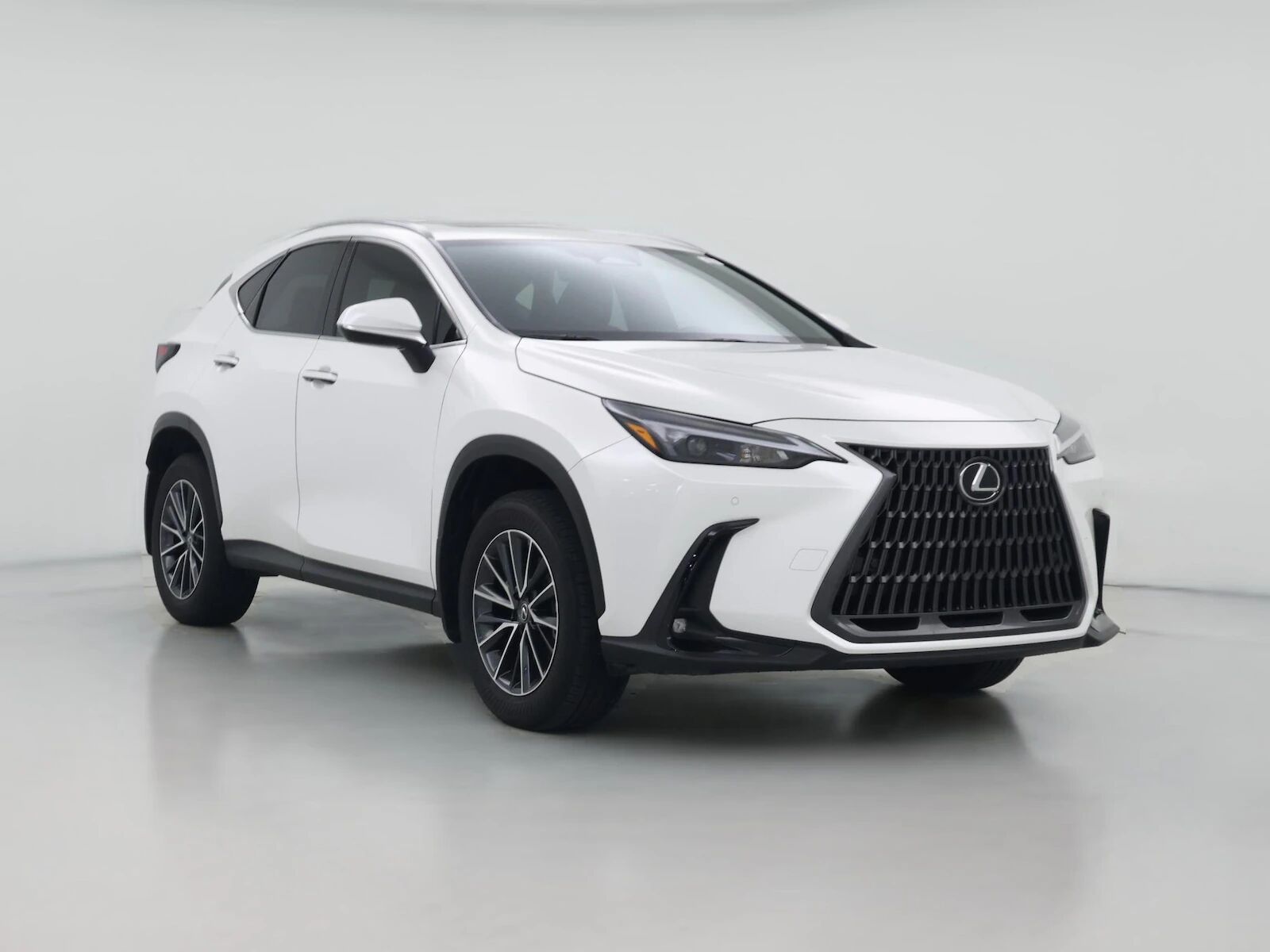 2025 LEXUS NX