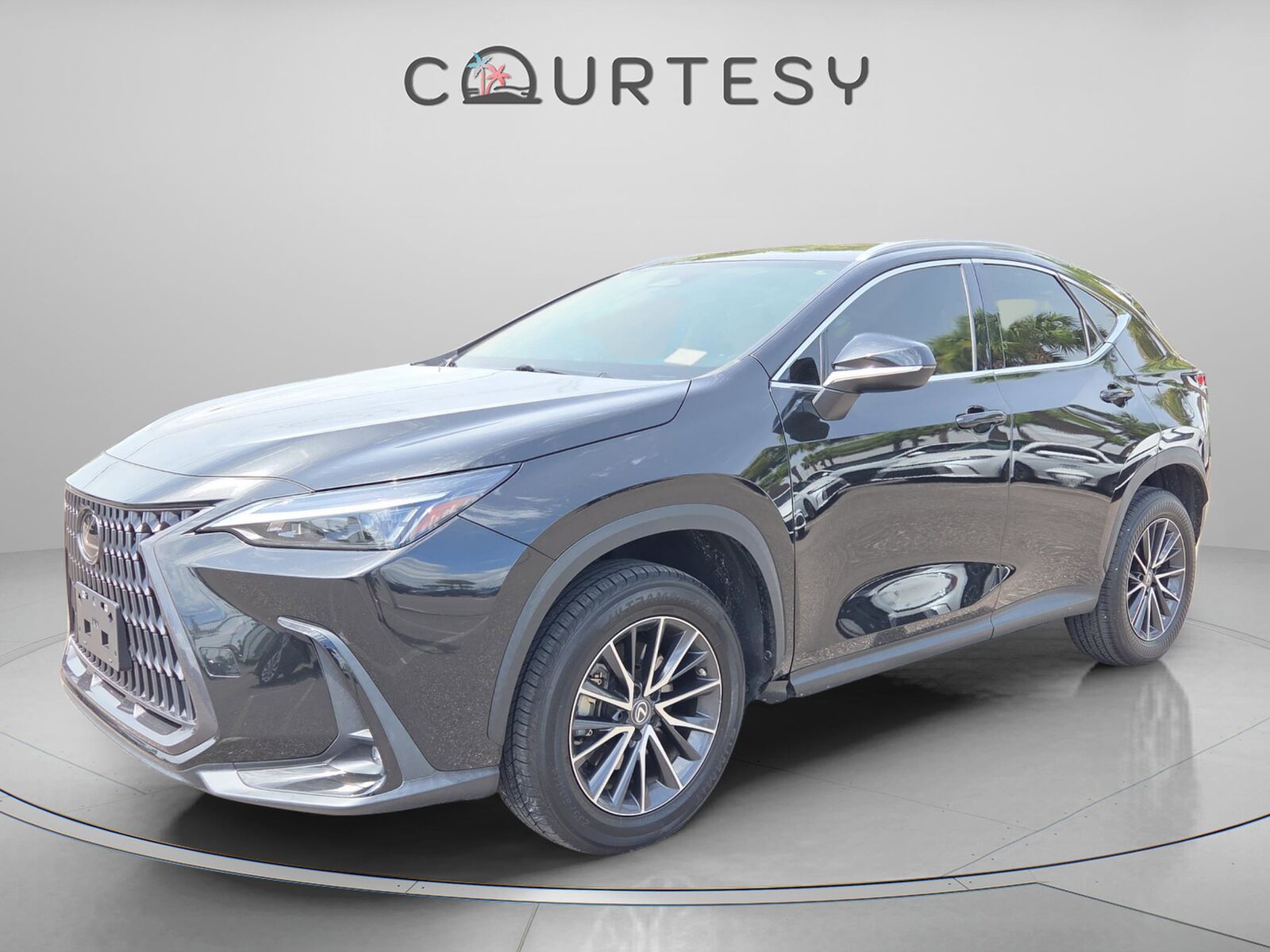 2023 LEXUS NX
