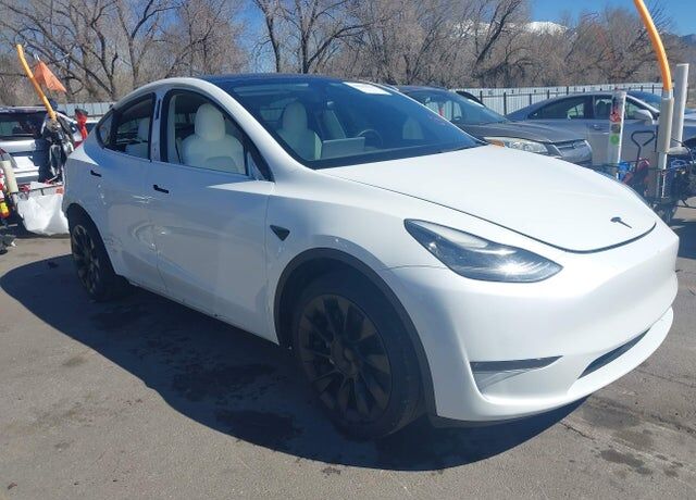 2021 TESLA Model Y