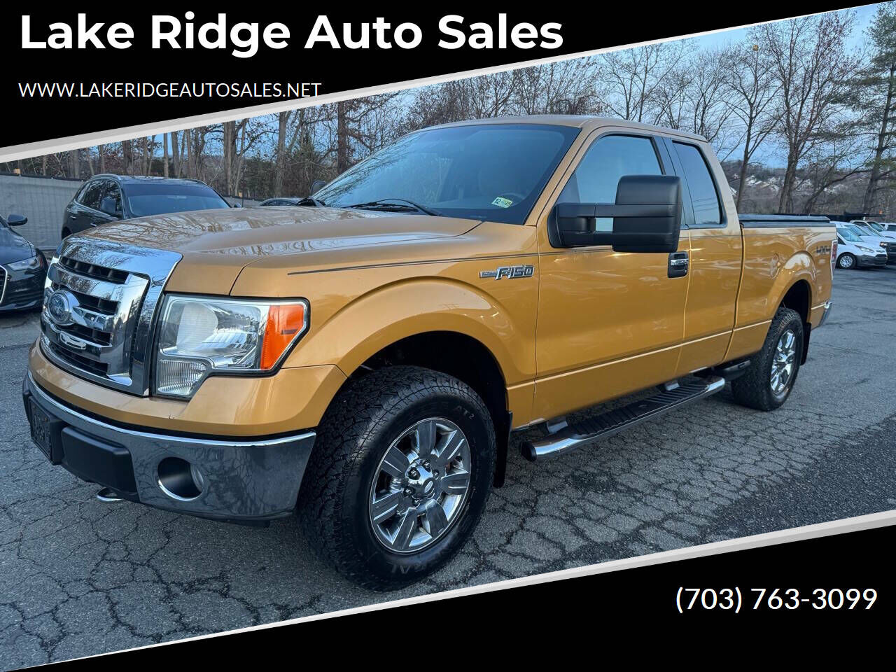 2009 FORD F-150