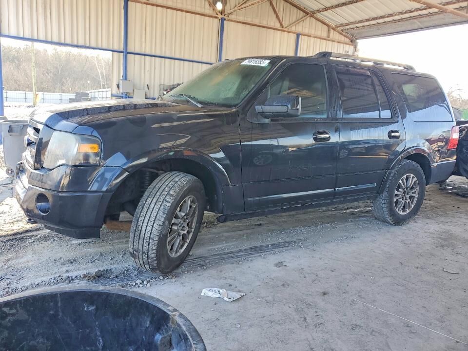 2010 FORD Expedition