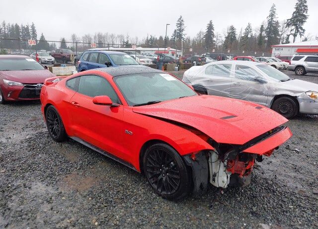 2019 FORD Mustang
