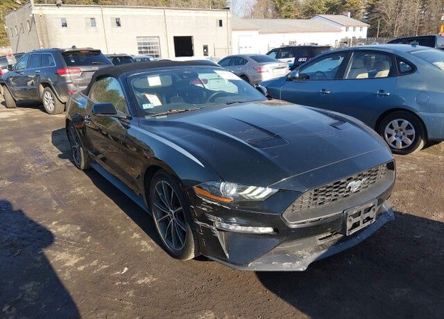 2019 FORD Mustang