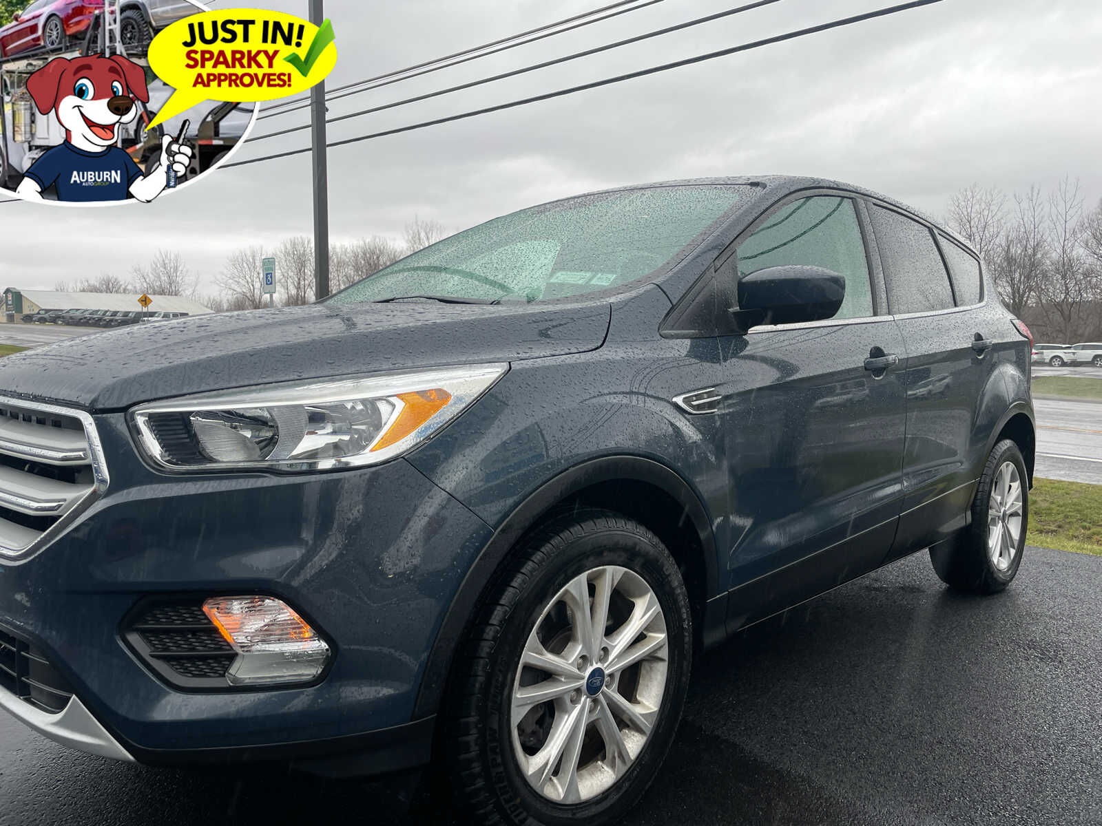 2019 FORD Escape
