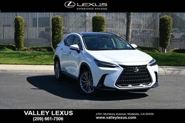 2024 LEXUS NX