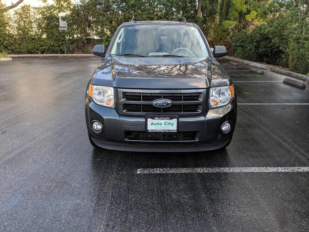 2009 FORD Escape
