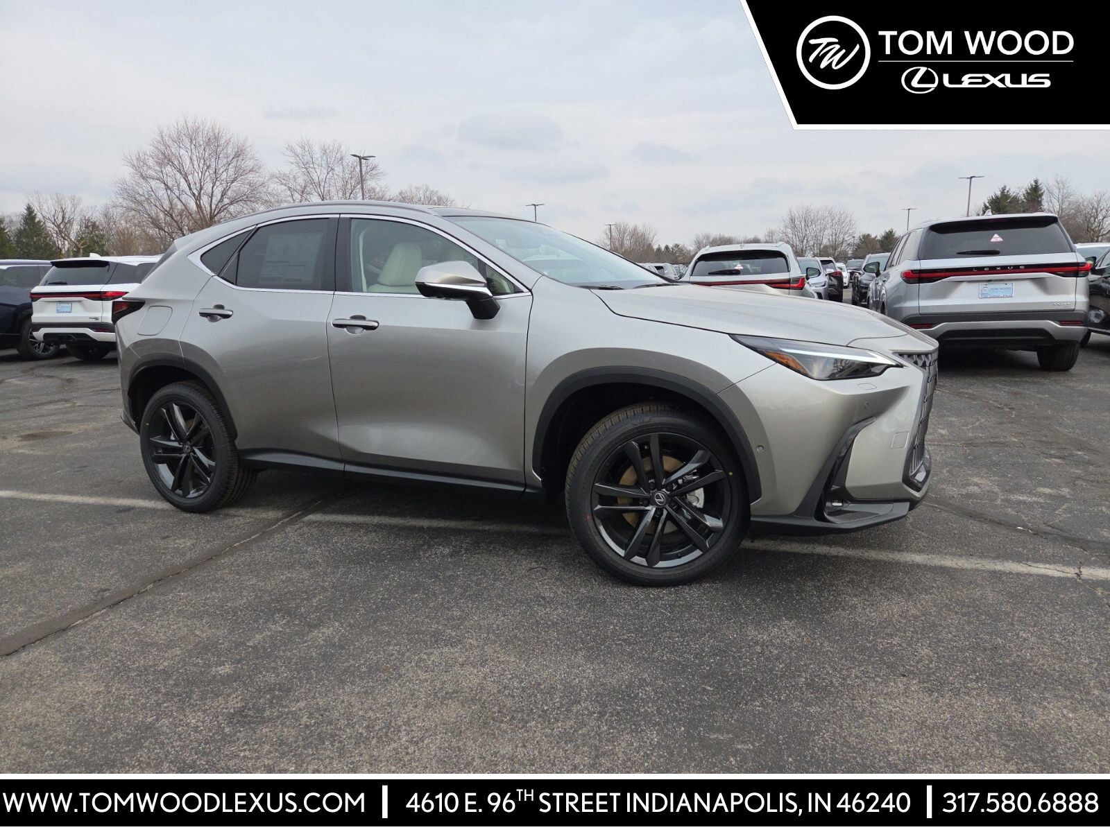 2026 LEXUS NX