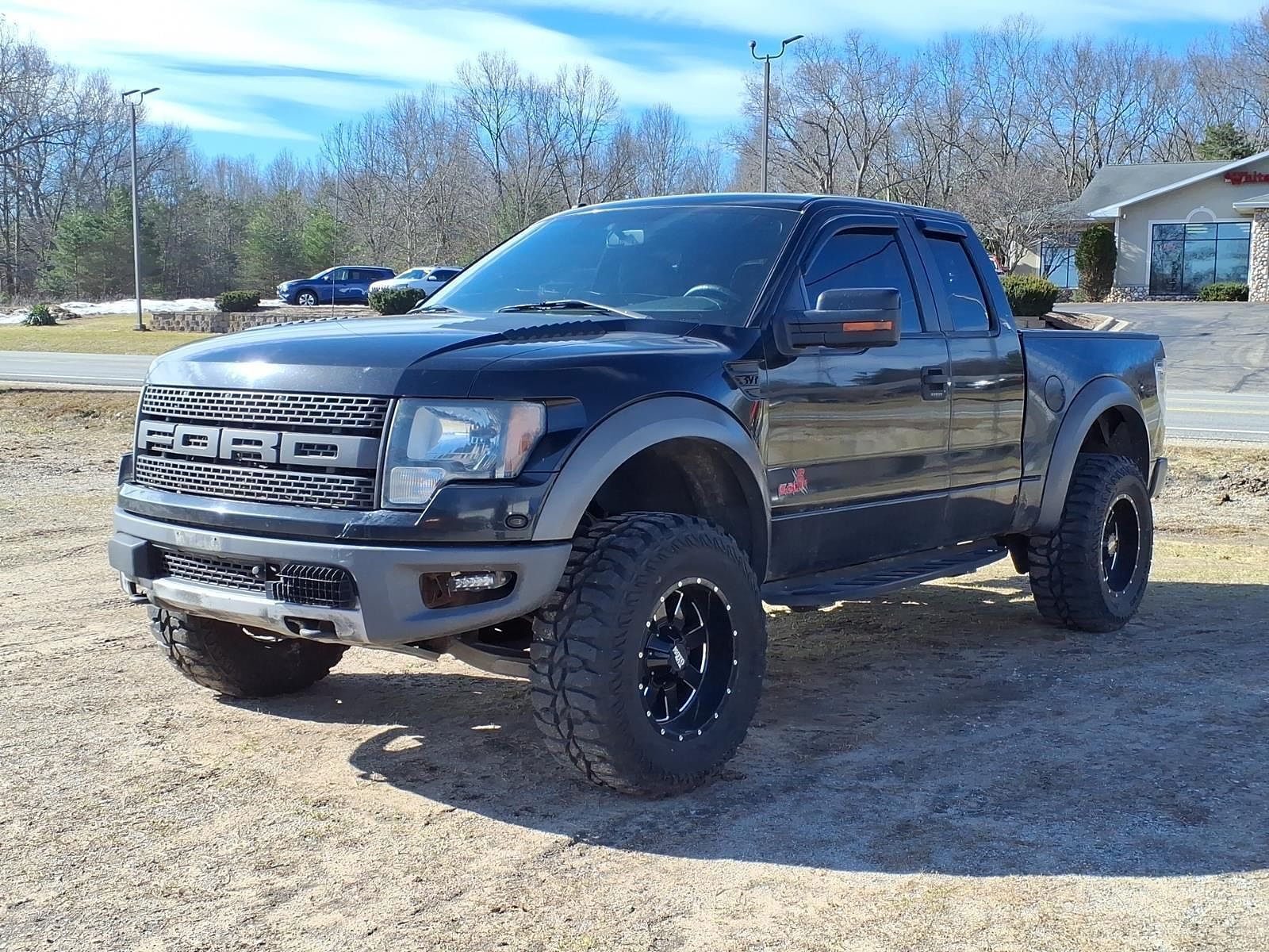 2010 FORD F-150