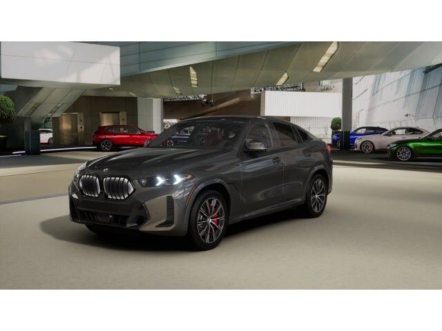 2026 BMW X6