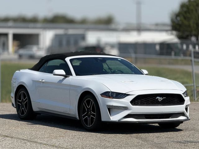 2023 FORD Mustang