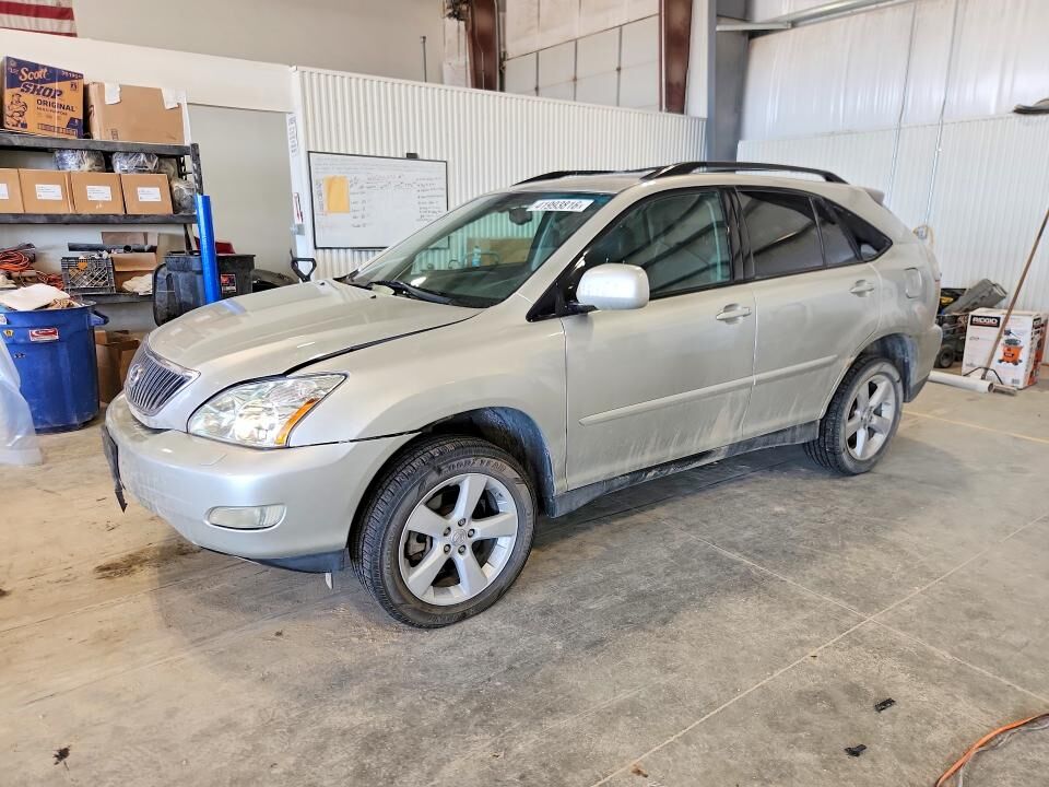 2007 LEXUS RX
