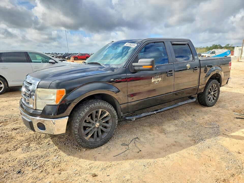 2010 FORD F-150