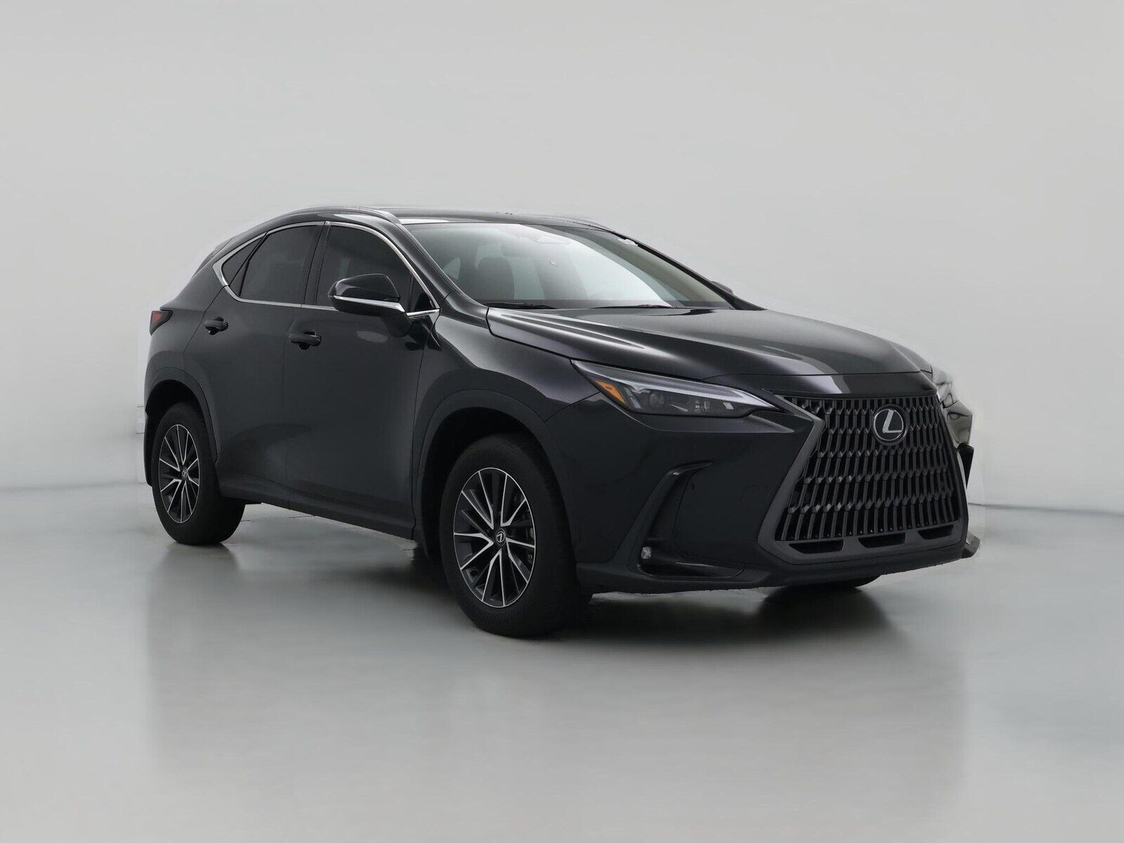 2024 LEXUS NX