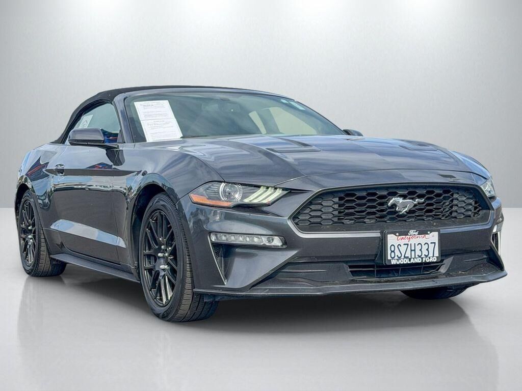 2019 FORD Mustang
