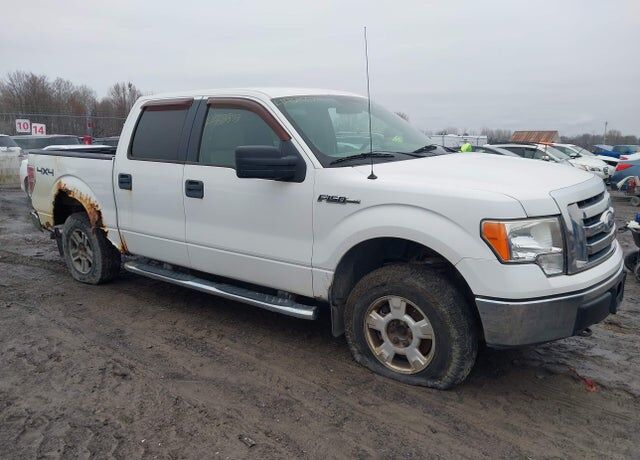 2010 FORD F-150