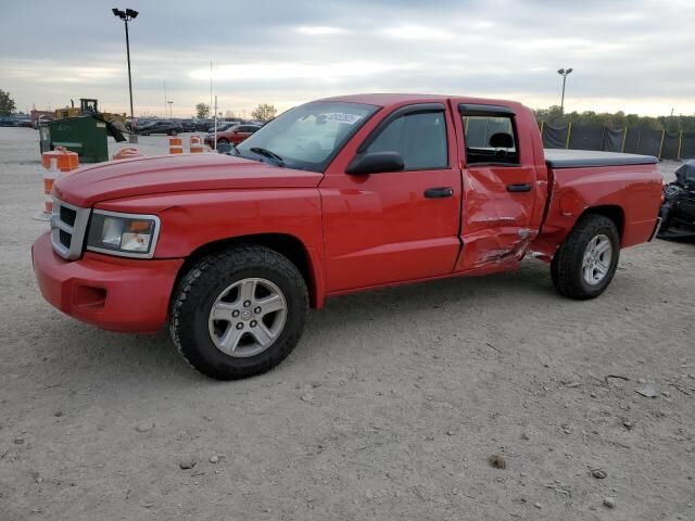2011 DODGE Dakota